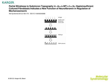 Partial Blindness to Submicron Topography in NF1 Haploinsufficient Cultured Fibroblasts Indicates a New Function of Neurofibromin in Regulation.