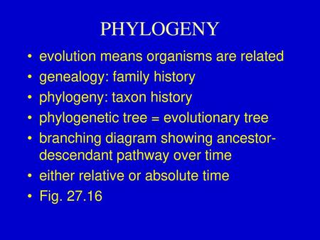 PHYLOGENY evolution means organisms are related