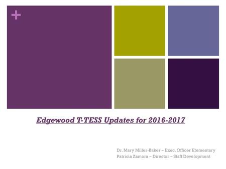 Edgewood T-TESS Updates for