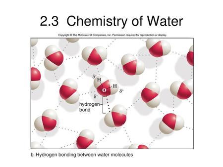 2.3 Chemistry of Water.