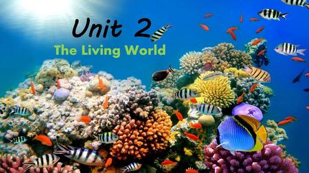 Unit 2 The Living World.