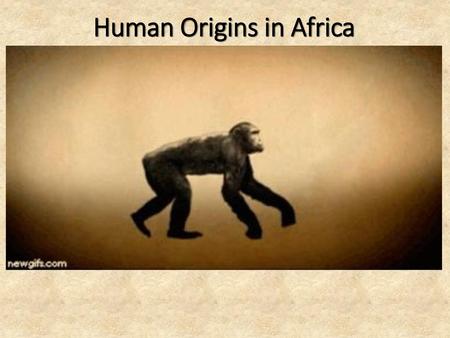 Human Origins in Africa