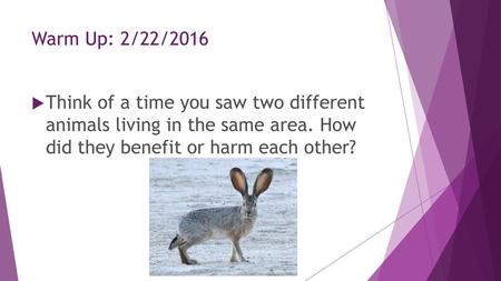 Warm Up: 2/22/2016 Think of a time you saw two different animals living in the same area. How did they benefit or harm each other?