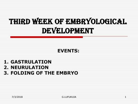 Third week of Embryological development