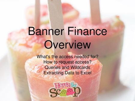 Banner Finance Overview