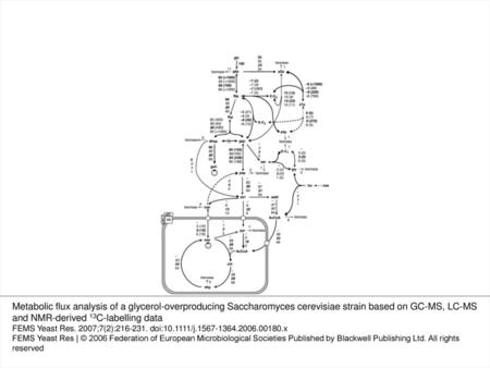 3 Intracellular metabolic fluxes in a tpi1Δnde1,2Δgut2ΔSaccharomyces cerevisiae strain determined by independently fitting the mass isotopomer fractions.