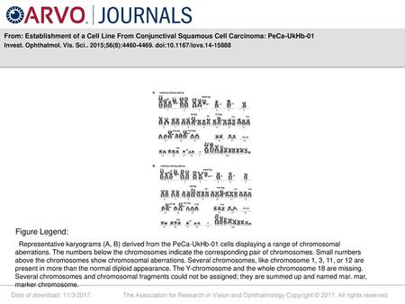 Invest. Ophthalmol. Vis. Sci ;56(8): doi: /iovs Figure Legend: