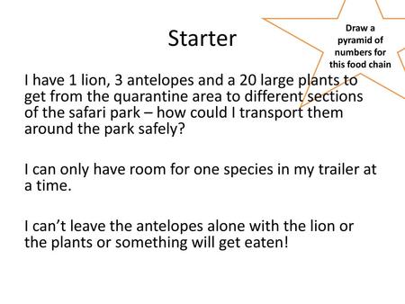 Draw a pyramid of numbers for this food chain