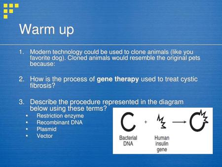 Warm up Modern technology could be used to clone animals (like you favorite dog). Cloned animals would resemble the original pets because: How is the process.