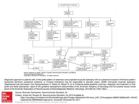 Diagnostic approach to patients with a limb-girdle pattern of weakness and suspected muscular dystrophy with an autosomal recessive inheritance pattern.