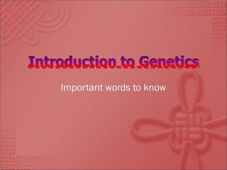 Introduction to Genetics