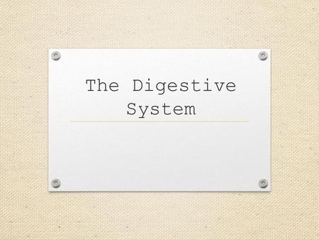 The Digestive System.