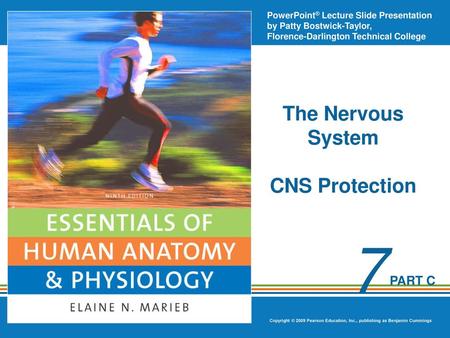 The Nervous System CNS Protection