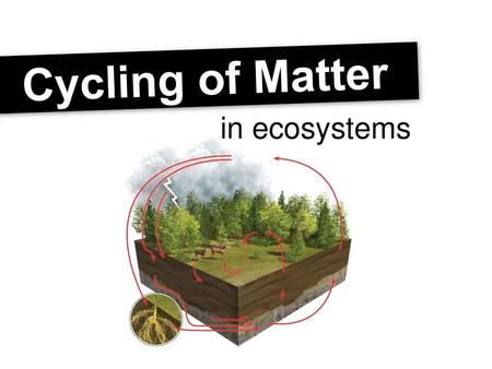 Cycling of Matter in ecosystems.