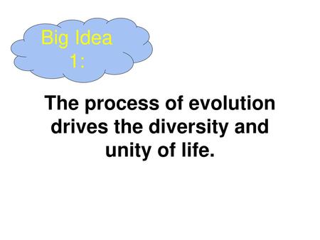 The process of evolution drives the diversity and unity of life.