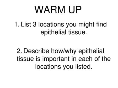 List 3 locations you might find epithelial tissue.