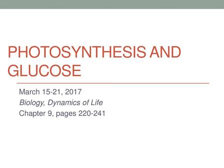 Photosynthesis and glucose