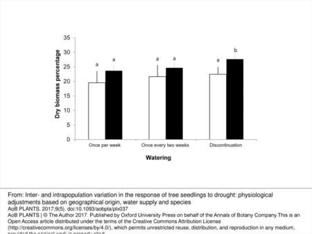 Figure 4. Dry biomass of leaves of P. tamarugo (white columns) and P