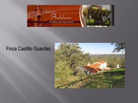 Finca Castillo Guardas