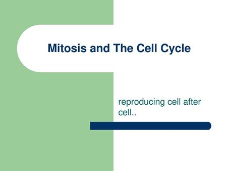 Mitosis and The Cell Cycle