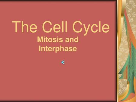 Mitosis and Interphase