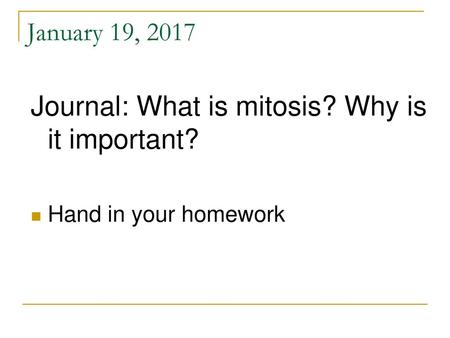 Journal: What is mitosis? Why is it important?