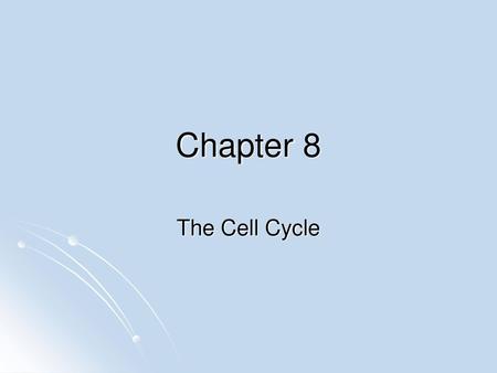 Chapter 8 The Cell Cycle.