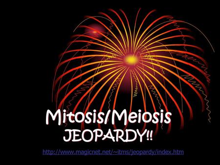 Mitosis/Meiosis JEOPARDY!!