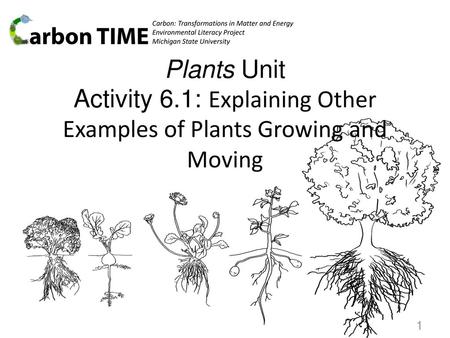 Carbon: Transformations in Matter and Energy