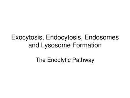 Exocytosis, Endocytosis, Endosomes and Lysosome Formation