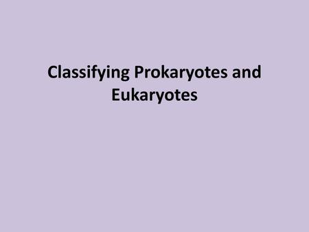 Classifying Prokaryotes and Eukaryotes