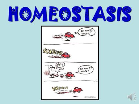 HOMEOSTASIS.