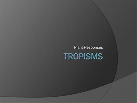 Plant Responses Tropisms.