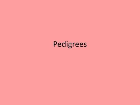 Pedigrees.