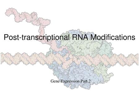 Post-transcriptional RNA Modifications