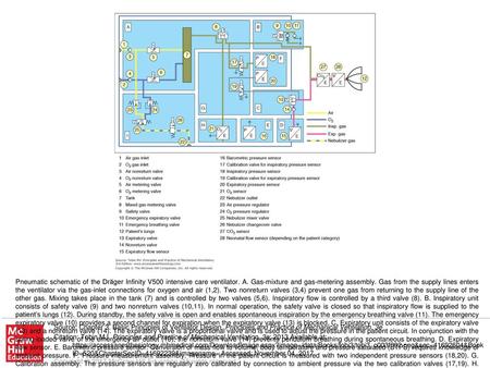 Pneumatic schematic of the Dräger Infinity V500 intensive care ventilator. A. Gas-mixture and gas-metering assembly. Gas from the supply lines enters the.