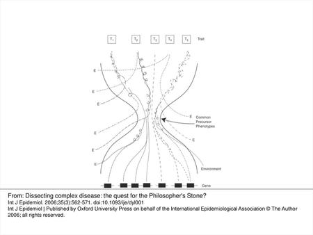 Figure 1 Hourglass metaphor for the development of complex diseases, with gene–gene and gene–environment interaction From: Dissecting complex disease: