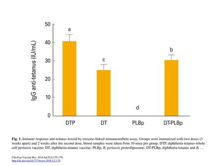 Fig. 1. Immune response anti-tetanus toxoid by enzyme-linked immunosorbent assay. Groups were immunized with two doses (3 weeks apart) and 2 weeks after.