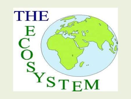 EQ: What is an ecosystem?