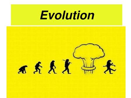 Evolution.