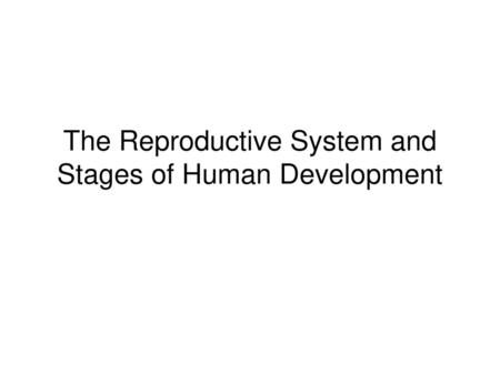 The Reproductive System and Stages of Human Development