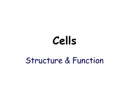 Cells Structure & Function.