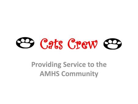 Providing Service to the AMHS Community