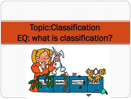 Topic:Classification EQ: what is classification?