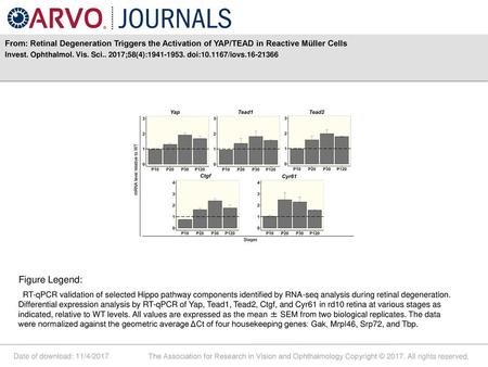 Invest. Ophthalmol. Vis. Sci ;58(4): doi: /iovs Figure Legend: