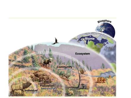 Energy Flow In order to live out its life, an organism must obtain energy through some means Sunlight is the main source of energy for life on Earth.