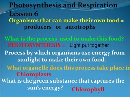 Photosynthesis and Respiration Lesson 6