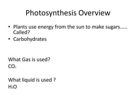 Photosynthesis Overview