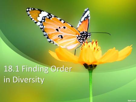 18.1 Finding Order in Diversity