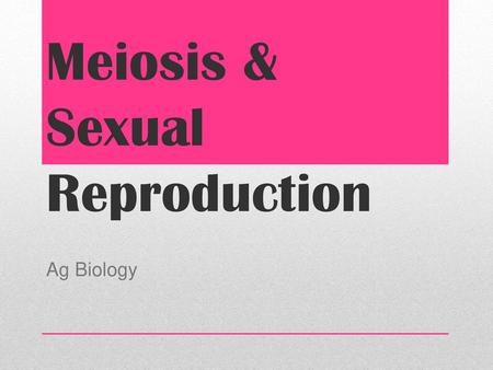 Meiosis & Sexual Reproduction